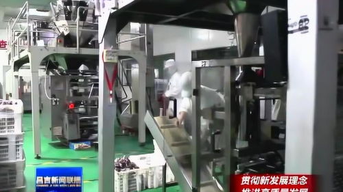 農產品精深加工助推農業高質量發展中的珠海軟件開發角色